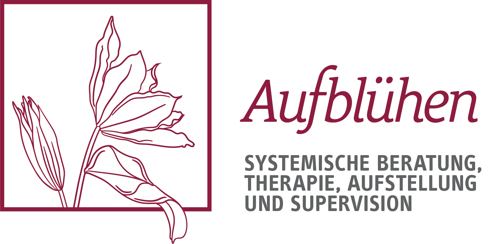 AUFBLÜHEN – Systemische Beratung, Therapie und Supervision in Kassel