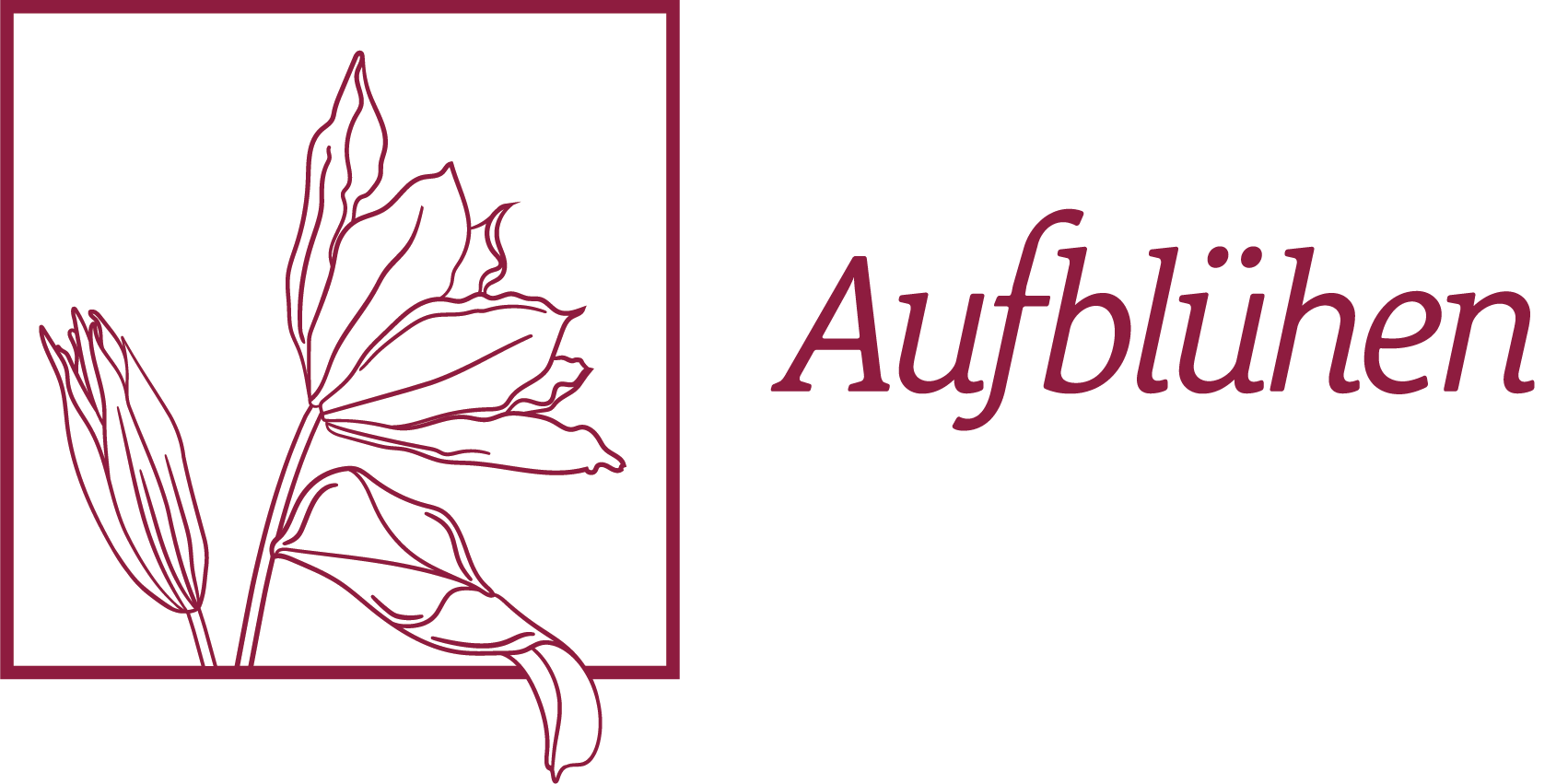 AUFBLÜHEN – Systemische Beratung, Therapie und Supervision in Kassel